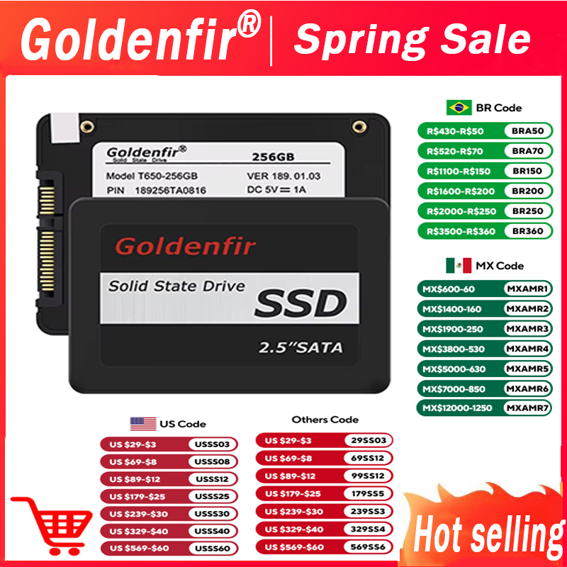 Goldenfir 솔리드 스테이트 드라이브 하드 디스크 드라이브